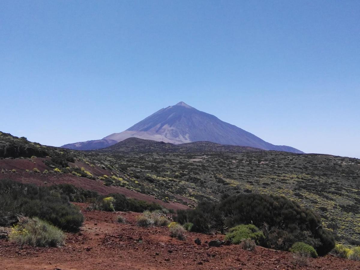Los Diamantes Komfort Los Cristianos  Eksteriør bilde
